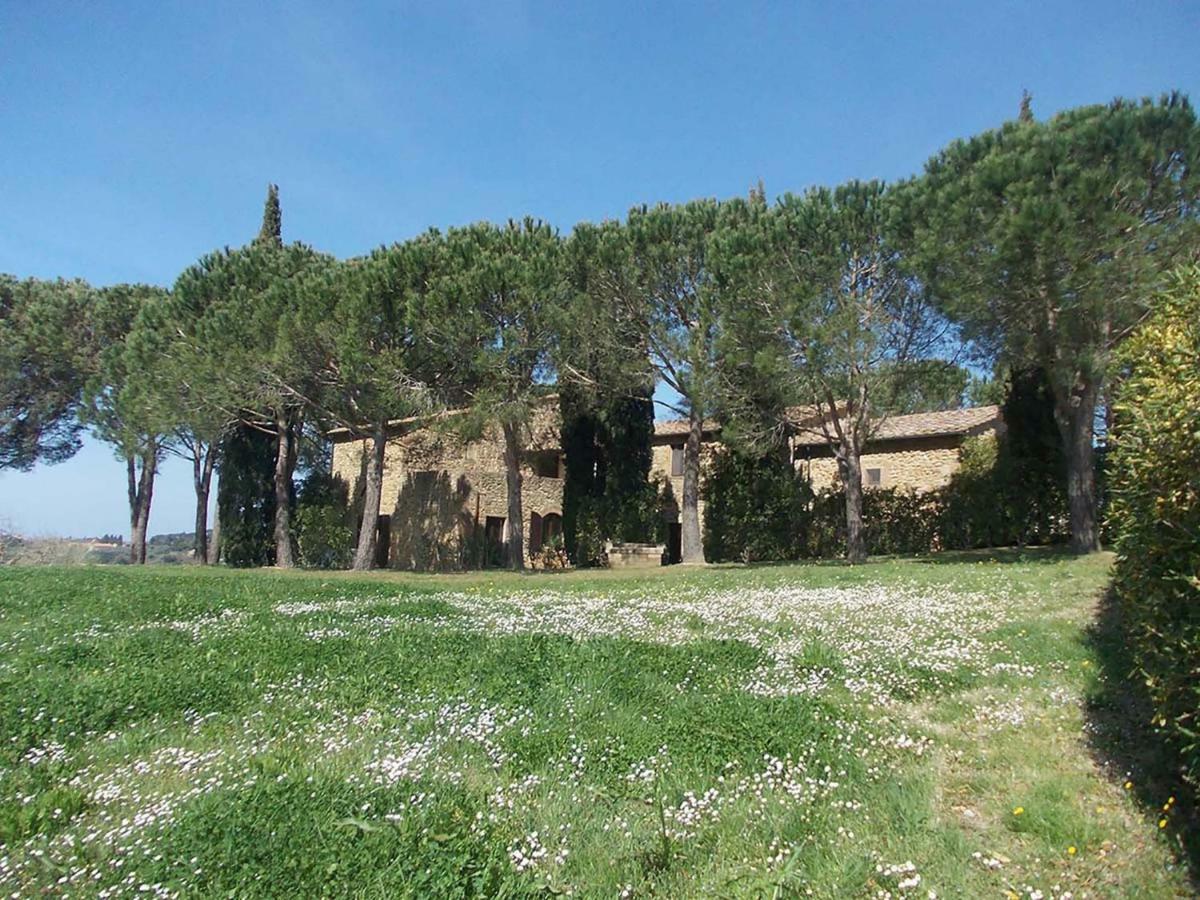 Casalevecchio Apartment Casale Marittimo Luaran gambar